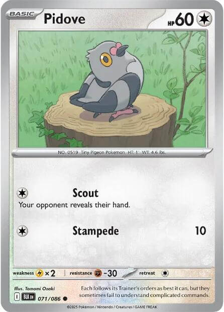 Pidove [BLK - 071/086] Condition: Near Mint Collectible Trading Cards SV: Black Bolt Also available: Language: English Printing: Reverse Holofoil